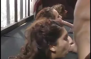 Սաթ ծանր բհաբի սեքս բրազզարներ